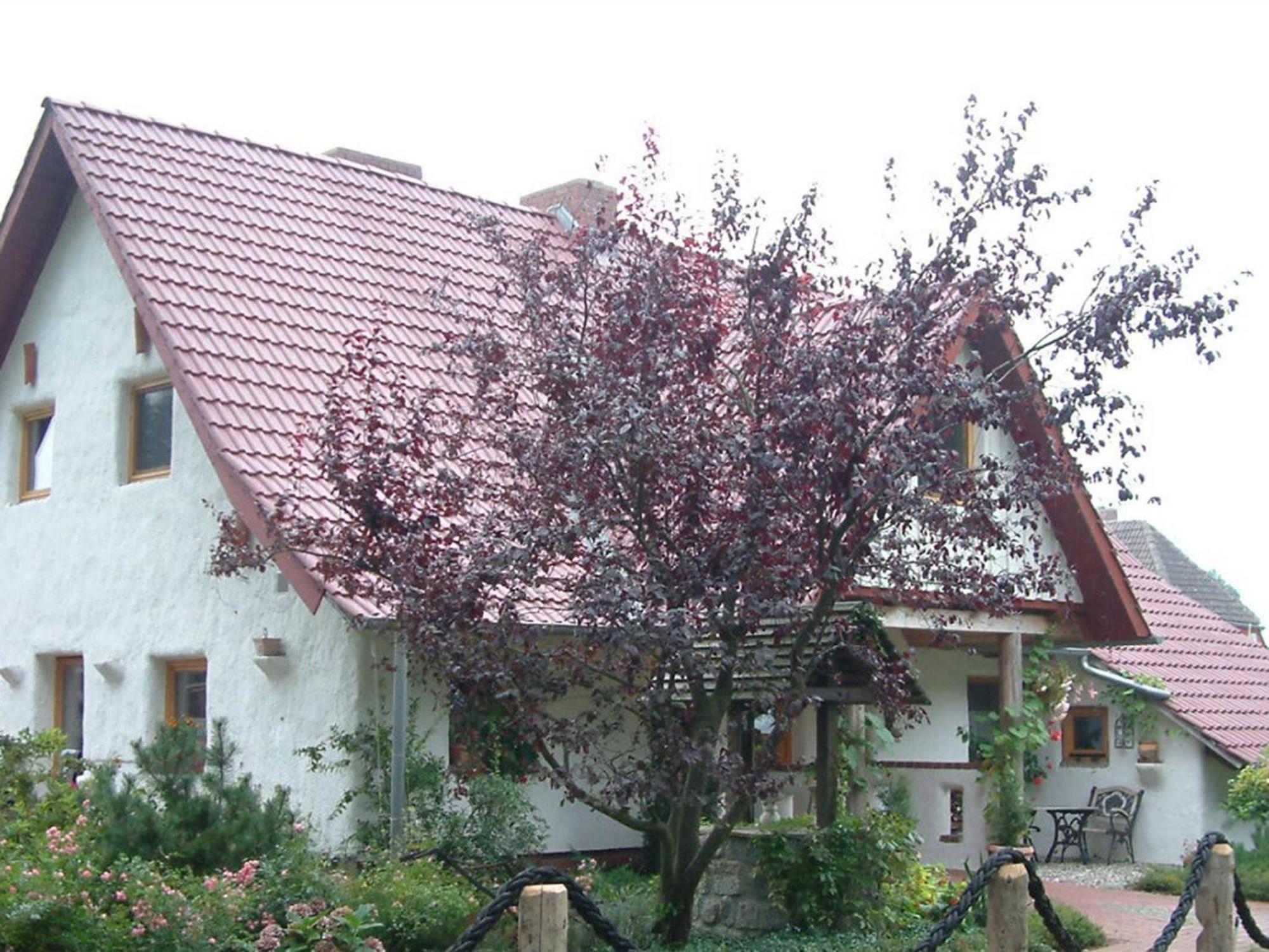 Апартаменты Haus Jasmin Bodstedt Экстерьер фото